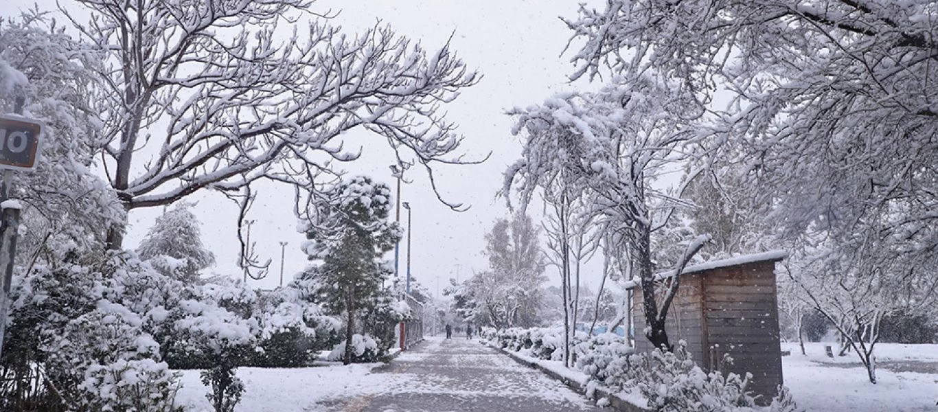 Καιρός: Πολικές θερμοκρασίες και χιόνια σήμερα ακόμα και στο κέντρο της Αθήνας - Πού θα παραμείνουν κλειστά τα σχολεία